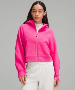 Sudadera con Capucha Lululemon Scuba Oversized Full-Zip Gold Zip Mujer Rosas Chile | 814VPLYME